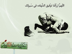 شهادت عالی‌ترین درجه شناخت حق از باطل
