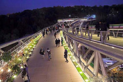 خودکشی یک مرد از روی پل طبیعت