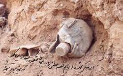 کشف پیکر مطهر ۱۲ شهید در روز نیمه شعبان