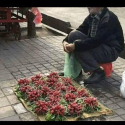 بیکاری پدر و بحران عاطفی در خانواده