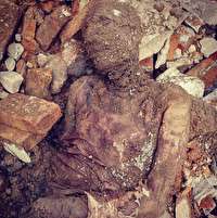 حاشیه و متن یک «از گور بر آمدن»