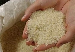 به شایعات درباره گرانی برنج توجه نکنید