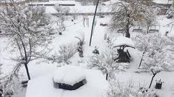 استان مازندران در بهار سفیدپوش شد