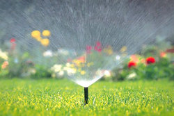 سیراب شدن فضای سبز بوشهر با آب شرب