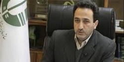 جاده‌کشی‌های بی‌رویه در مناطق حفاظت شده نگران‌کننده است