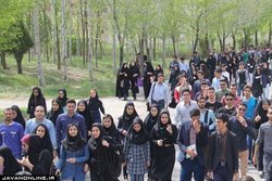 دیپلمه‌ها راحت‌تر از لیسانسه‌ها کار پیدا می‌کنند