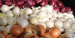 صادرات پیاز و سیب‌زمینی آزاد شد