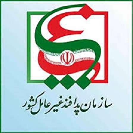 حرکت ملت ایران، فرهنگ دفاع مقدس است