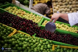 افزایش قیمت میوه و بازرگانی ناکارآمد دولتی