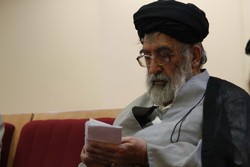 مبارزه اخوان با اشغالگران انگلیسی تندروی نیست