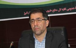 از ابتدای امسال ۴۰۰ هکتار از مراتع و جنگل‌های البرز دچار حریق شده است