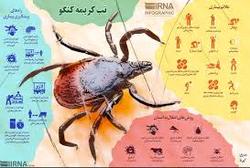 آخرین آمار مبتلایان «تب کریمه کنگو» در کشور