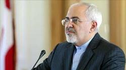ظریف: پیشنهادی برای مبادله زاغری مطرح نشده است