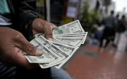 انهدام باند قاچاقچیان ارز در فرودگاه امام(ره)