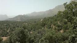 بیابان‌زدایی در اصفهان با ۳۰۷ هزار هکتار جنگل دست‌کاشت