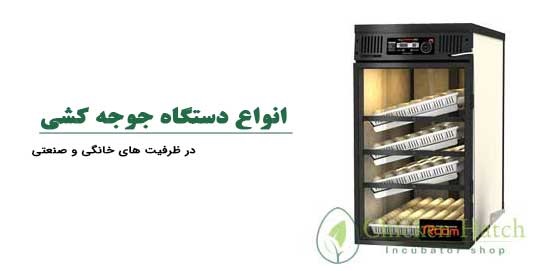 دستگاه جوجه کشی را با دلار هزار تومانی بخرید دستگاه جوجه کشی را با دلار هزار تومانی بخرید