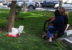 تشدید برخورد با ‌سگ‌گردانی در کرج
