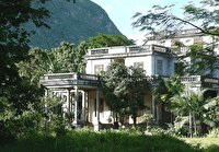 زیست در میان آواز خوک‌ها!