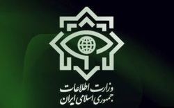 ضربه به یک شبکه تخلفات ارزی توسط وزارت اطلاعات