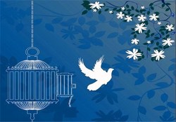 آزادی ۲۵ زندانی جرائم غیرعمد با کمک خیرین