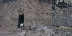 تصویری تکان دهنده از بی‌سامانی مقبره‌الشعرا