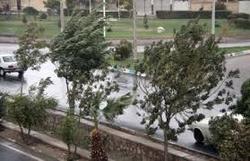 وزش باد شدید و گرد و خاک در شرق ایران