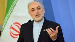 رآکتور اراک با تغییر تکنولوژی بازطراحی می‌شود