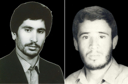 ۲ کبوتری که با یک بال اوج گرفتند