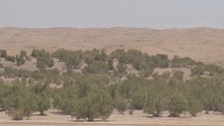 آغاز بهره‌برداری از ۱۲۵ پروژه عمرانی و اقتصاد مقاومتی سپاه اصفهان در هفته دفاع مقدس