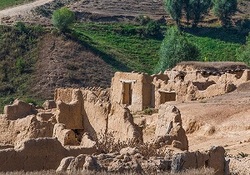 کاهش زاد و ولد در روستاهای‌ استان اردبیل