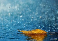کاهش دما و بارش باران در اکثر نقاط کشور