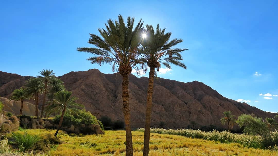 طبس، عروس کویر ایران