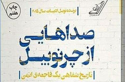 این چرنوبیل خواندنی است نه دیدنی
