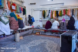 ظرفیت جدید برای ثبت اشتغال روستایی وجود ندارد