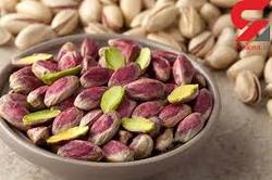 باغات پسته آمریکا را مردم رفسنجان ایجاد کرده‌اند