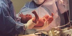 در تاریخ ۹۸.۸.۸ چند نوزاد به دنیا آمدند؟