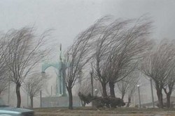 وزش باد شدید در تهران