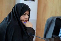 نوسازی ناوگان عمومی در کاهش آلودگی هوا نقش دارد