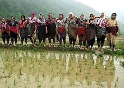 زنان، اولین محافظان محیط زیست