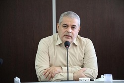 جنگلها میرویند ،اما بشرط