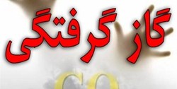 قاتل نامرئی جان مادر میانه‌ای را گرفت