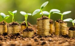 قله‌های بزرگی از ثروت برای اخذ مالیات در کشور وجود دارد