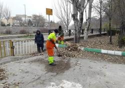 تنظیف و پاکسازی پائیزه در معابر منطقه تاریخی فرهنگی تبریز