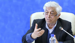 ‌نمی‌توانم یک تنه مقابل تصمیمات وارداتی بایستم!
