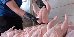 مرغ تازه در میادین به زیر ۱۰ هزار تومان رسید