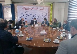 شهرک صنعتی کمشچه به طرح FTTH مجهز شد