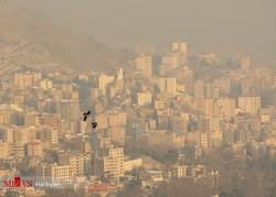تدبیر این است: یا سرما بخورید یا مازوت!