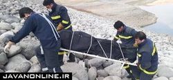 کشف جسد در تالاب‌های پلدختر