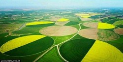 کشت و صنعت مغان به بیت المال بازگشت