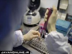 هیچ ویروسی رفتنی نیست؛ باید با کرونا زندگی کنیم
